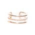 Charmed 5 Bar Ring in Rose Gold